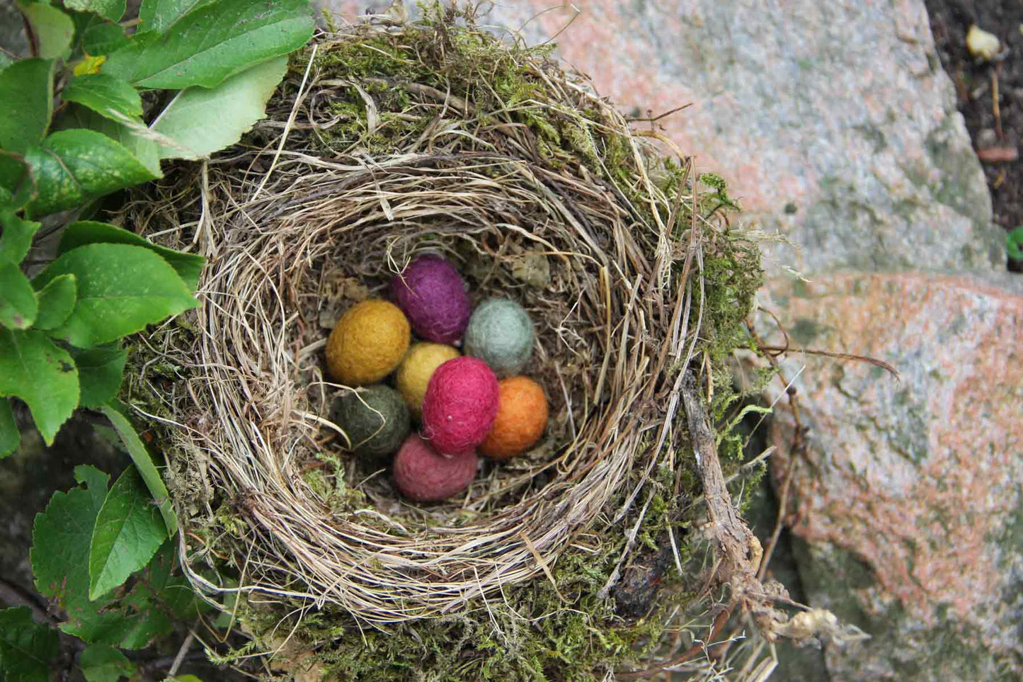 engrysif_nest-with-mini-eggs